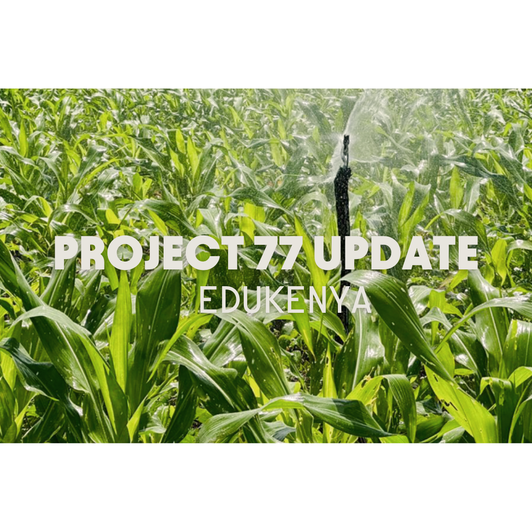 Project 77 Update