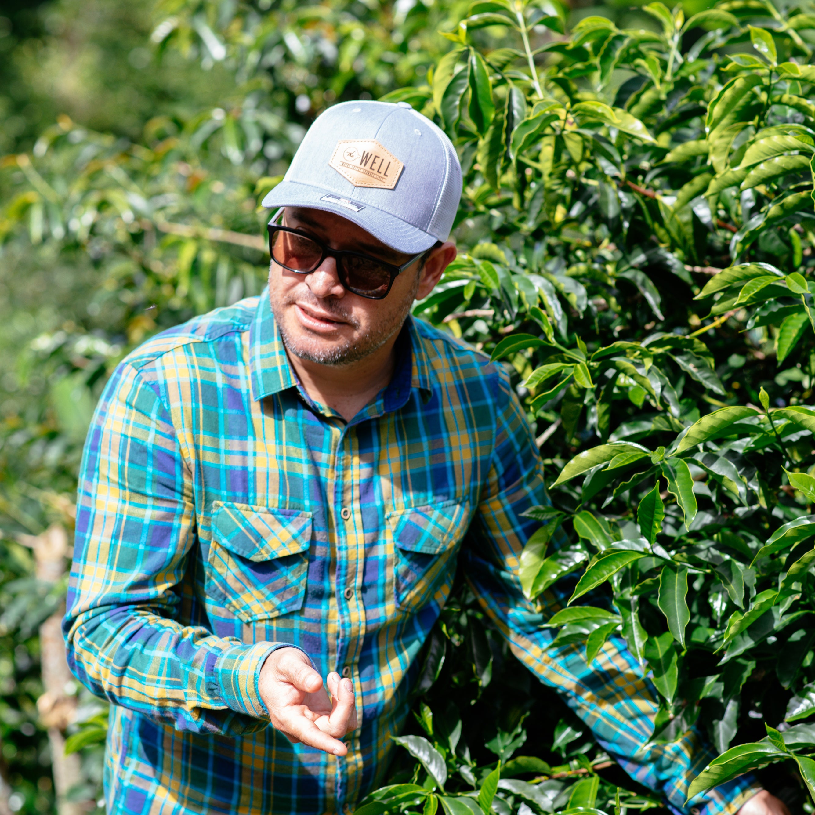 Our Local Guide to Costa Rica, Ricardo from Origenes – The Well Coffee ...