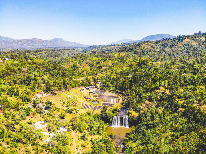 Ethiopia, Bombe Abore