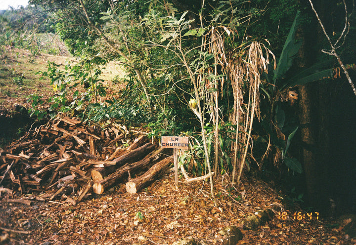 Costa Rica, La Chumeca