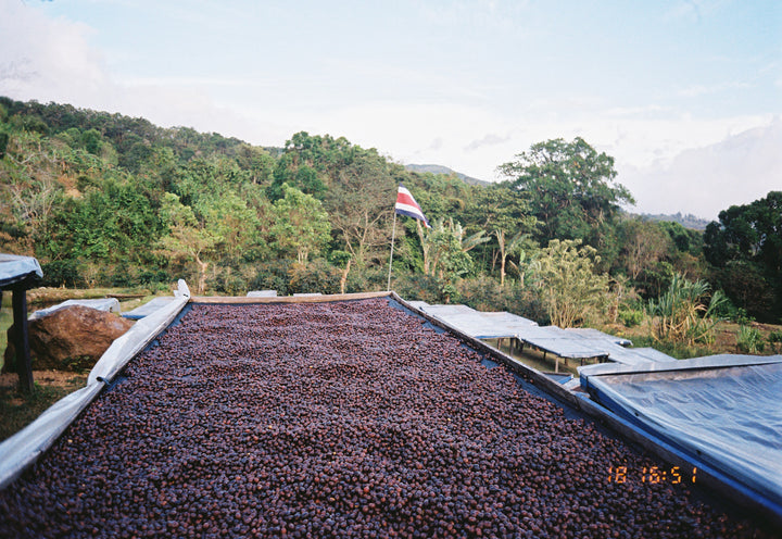 Costa Rica, La Chumeca