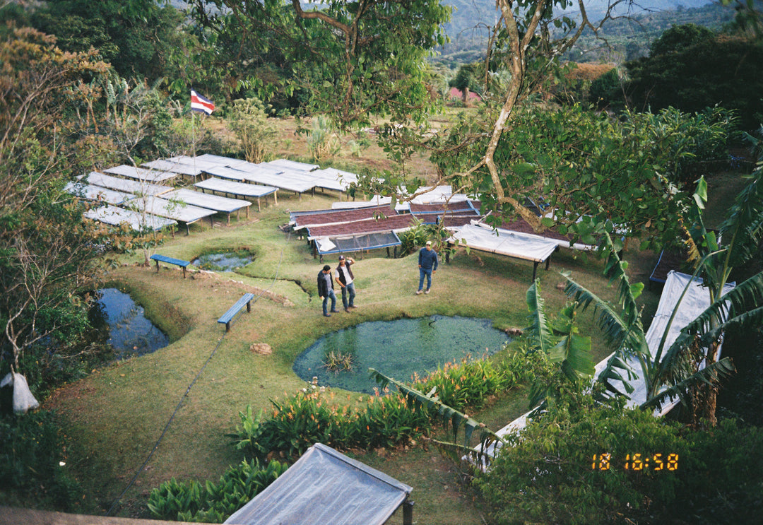 Costa Rica, La Chumeca