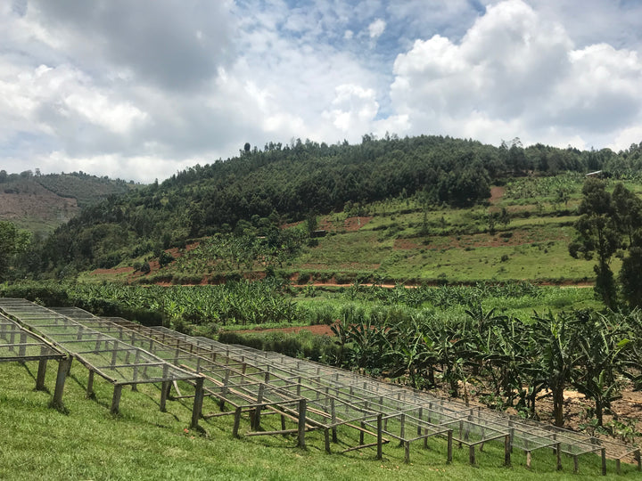 Rwanda, Dukorere Kawa