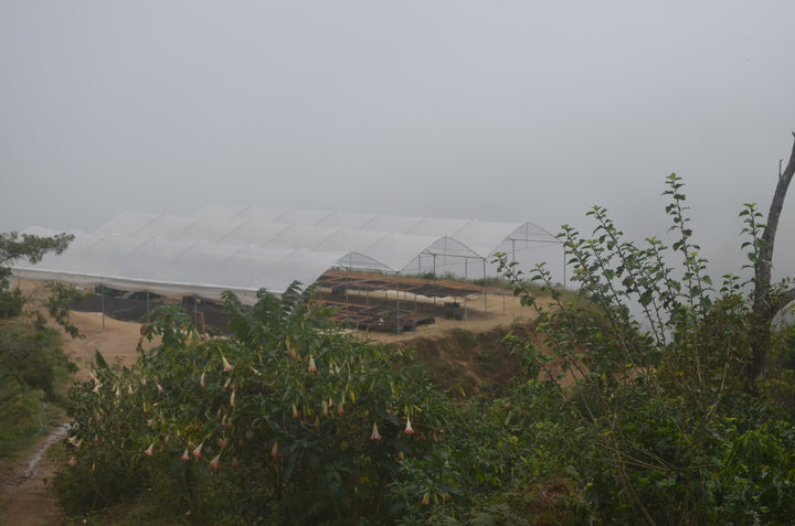 Costa Rica, Origenes