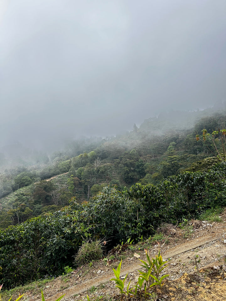 Costa Rica, Origenes