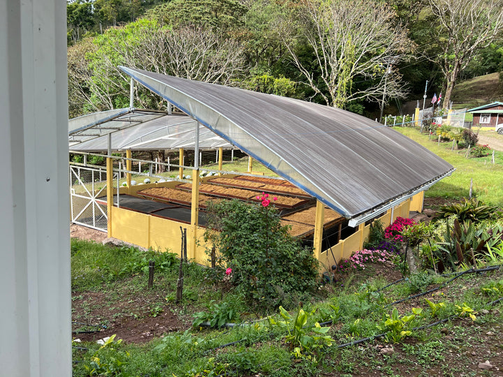 Costa Rica, Las Margaritas