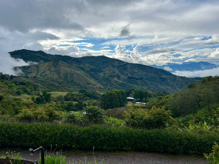 Costa Rica, Las Margaritas