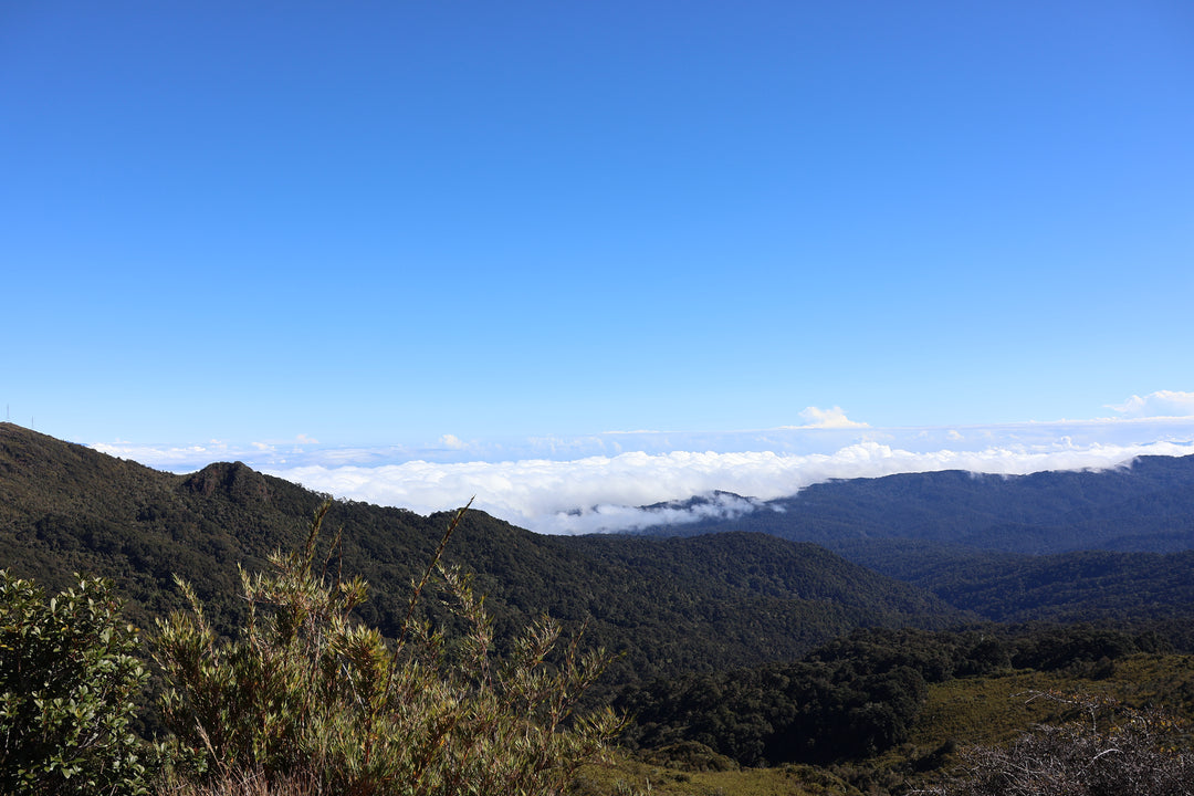 Costa Rica, Vara Blanca
