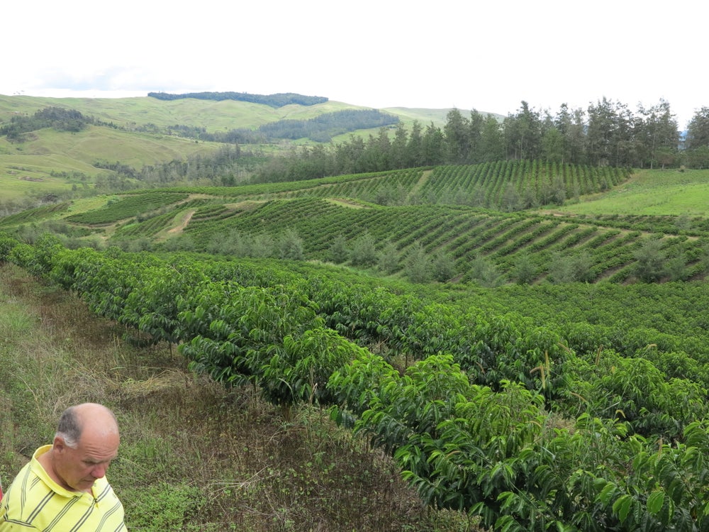 Papua New Guinea, Colbran