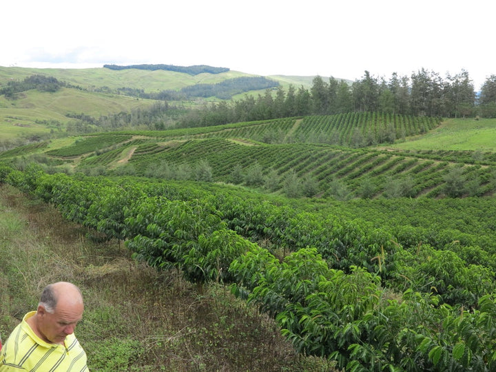 Papua New Guinea, Colbran