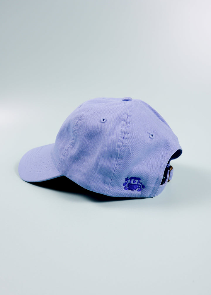 The Well Dad Hat - Sky Blue