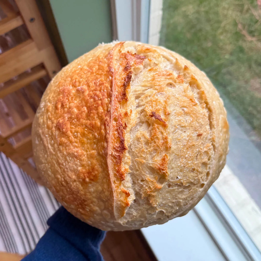 Sourdough Loaf