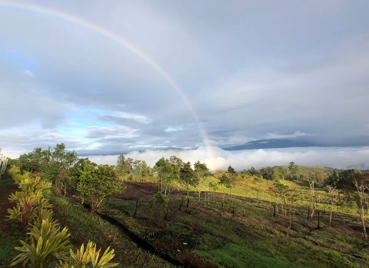 Papua New Guinea, Chimbu