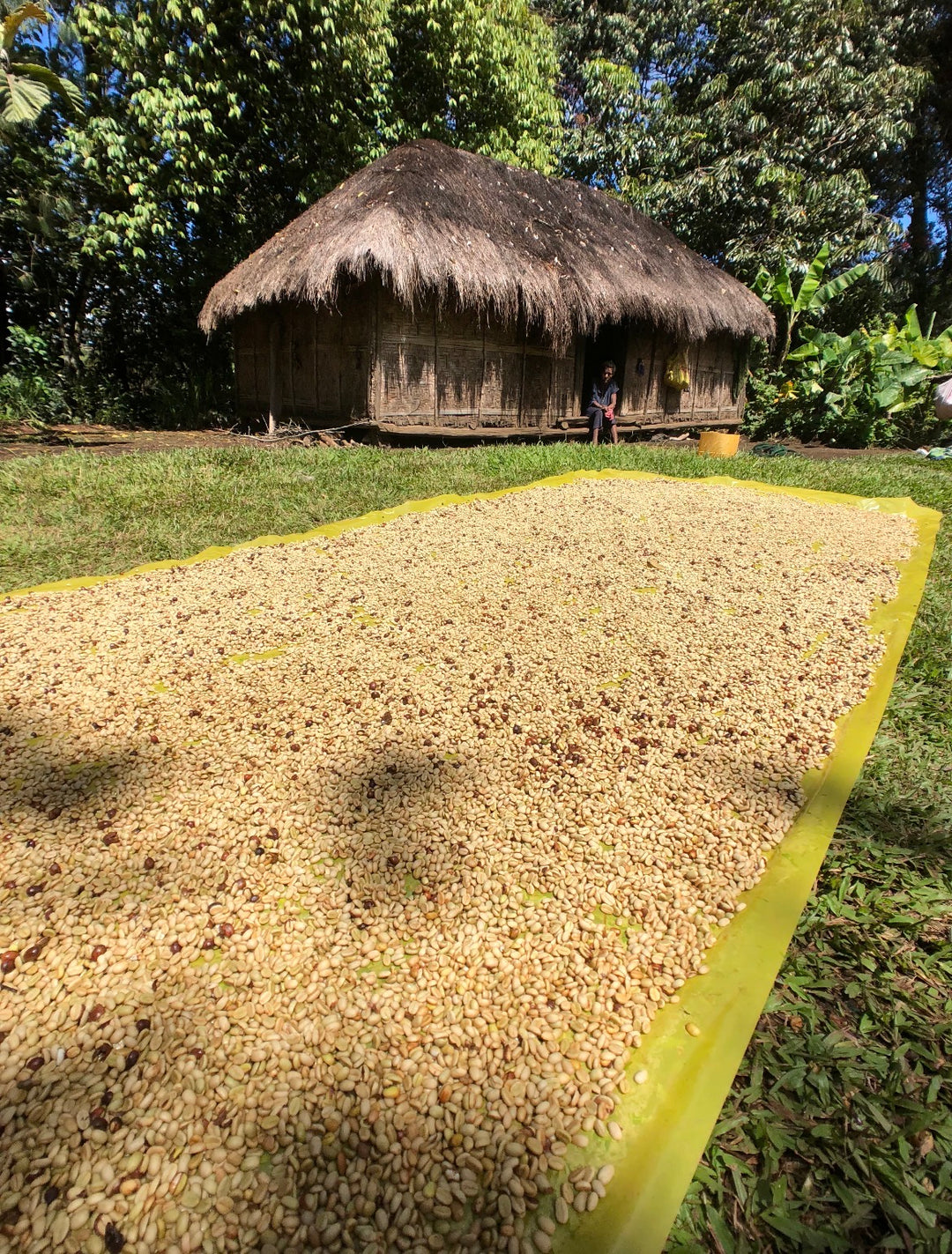 Papua New Guinea, Chimbu