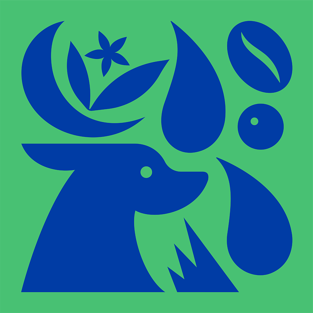 Store Coffee - Light Roast Drip (Christmas Blend)