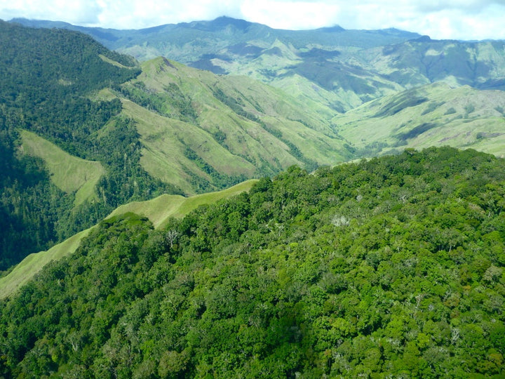 Papua New Guinea, Colbran