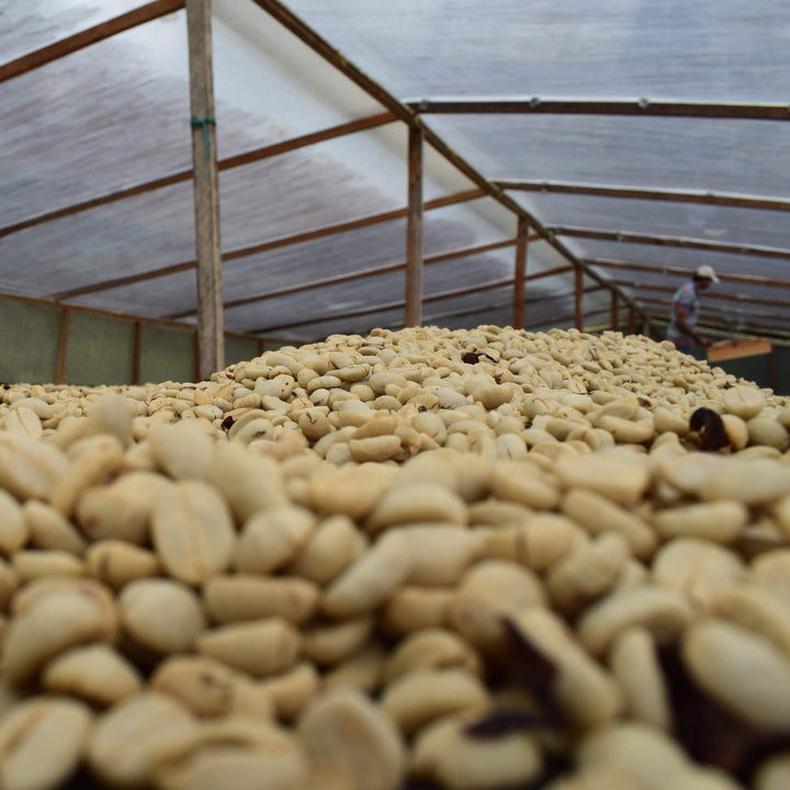 Decaf